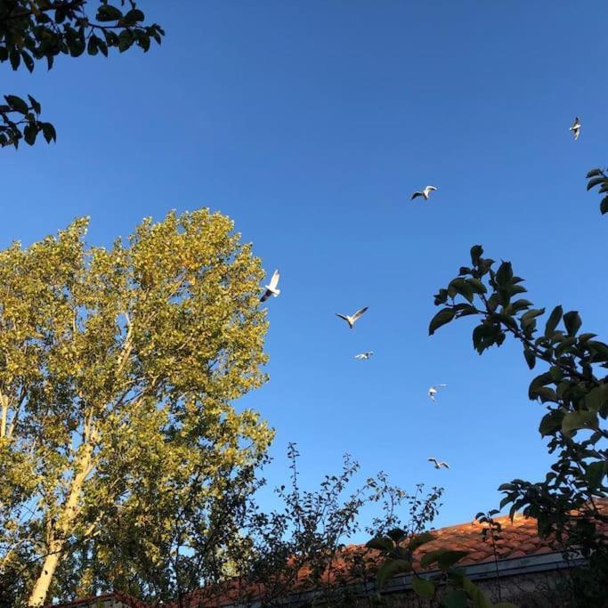 Cocon Des Marais Villa Villeneuve-en-Retz Dış mekan fotoğraf