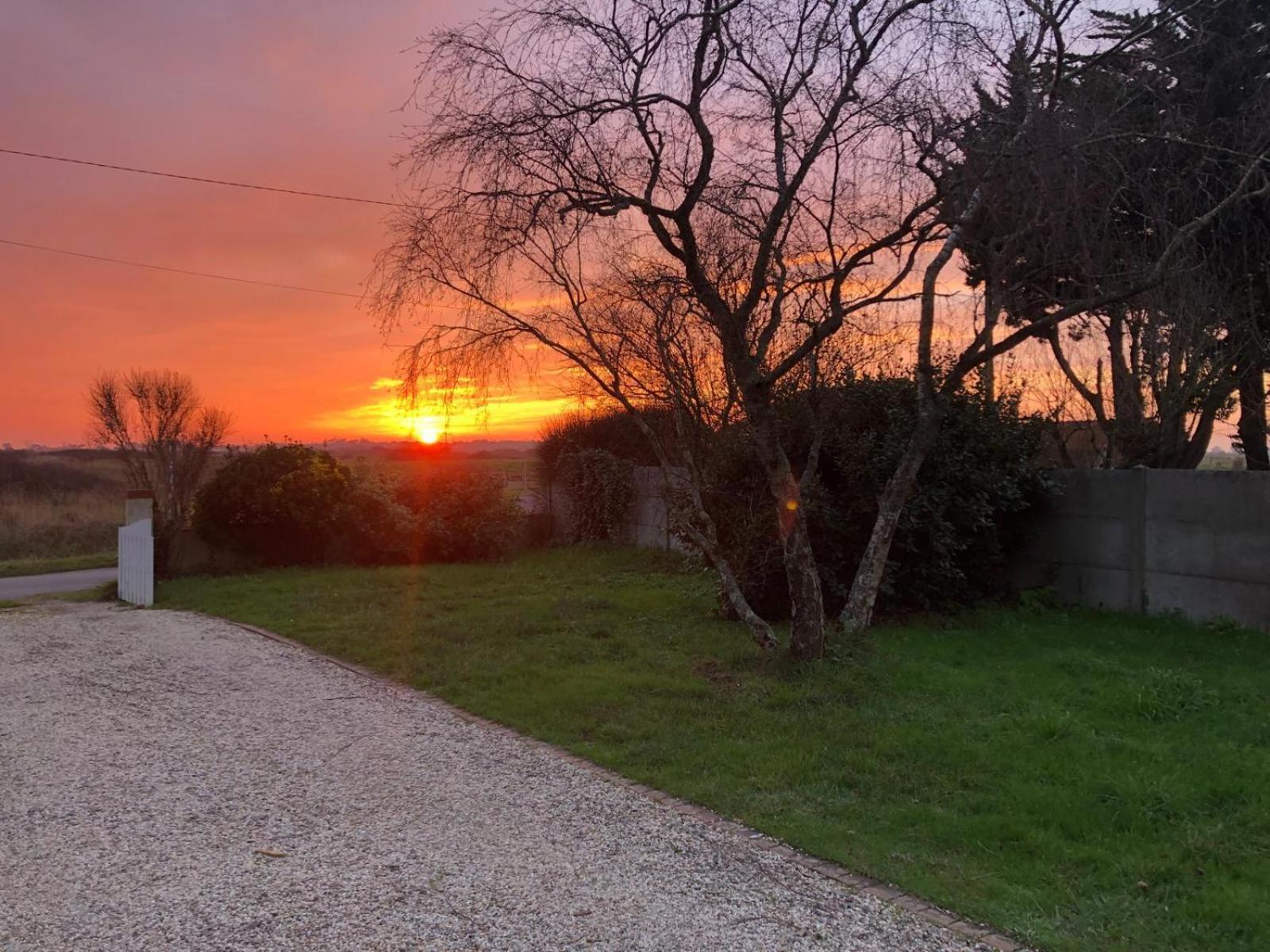 Cocon Des Marais Villa Villeneuve-en-Retz Dış mekan fotoğraf